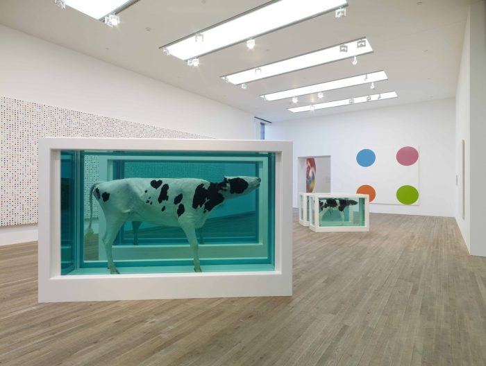 Damien HIrst installation view - Mother and Child Divided in foreground