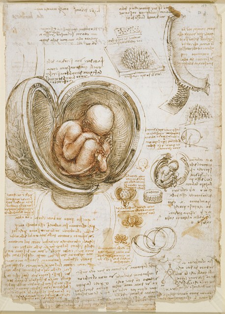Leonardo da Vinci: Studies of the foetus in the womb, c.1510-13