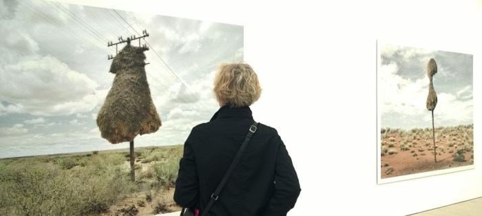 Installation shot Dillon Marsh