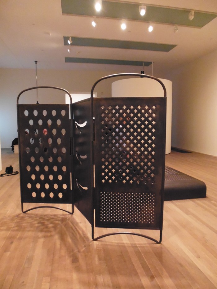 Mona Hatoum's Grater Divide 2002